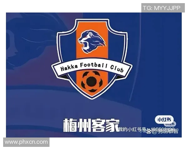 中甲激战深圳队迎战梅州客家争夺宝贵积分的关键对决